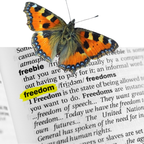 The 'Free to Fly' Butterfly Notebook....(And How a Butterfly was a sign to Break Free, Move House &amp; Create My Own Brand)