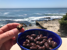 Load image into Gallery viewer, Enlighten Me...® Gift Tin of Dark Chocolate Covered Almonds (with inspirational secret scroll messages)

